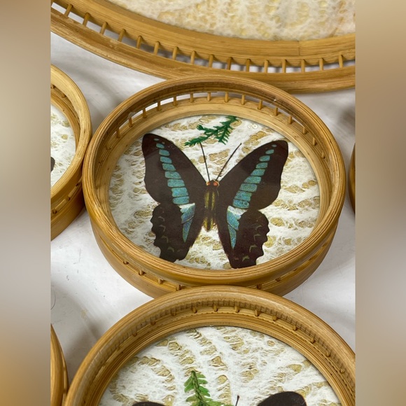 Vintage Bamboo/Rattan/Glass pressed flower & Butterfly tray/coaster set 7 pcs - Picture 9 of 16